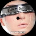 Flash Grey - Need You (Original Mix)