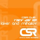 Laker & Mihailov - Night Flight (Original Mix)