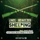 Petar Cvetkovic - Sheeping