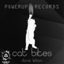 Dave LeBon - Cat Bites (Mr.Y Remix)