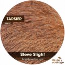 Steve Slight - Tarsier