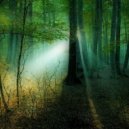 Reality Sandwich - Secret Garden