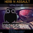 Herb N Assault - Steady Dose of Violence (Original Mix)