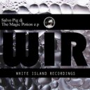 Salvo Pig Dj - Tech Division