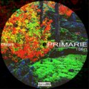 Primarie - What's The Use of Getting Sober