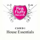 Various Artists - Cloud 1 - House Essentials - Continous Mix