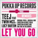 Teej Feat Twin Mc & Lucy Barton - Let You Go