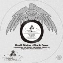 David Divine - Black Crow (Untechned Remix)