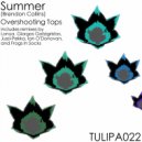 Summer (Brendon Collins) - Useppa (Frogs In Socks Remix)