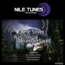 Pete Silver - Welcome To Wonderland (Mark Flat Remix)