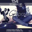 Tive - Concrete Pigeon