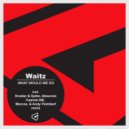 Waitz - What Would We Do (Absorom Remix)