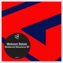 Mehmet Özbek - Scatterbrain