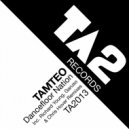 Tamteo - Dancefloor Nation (Richard Young Remix)