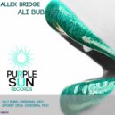 Allex Bridge - Poket Diva