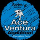Aquabeat - Ace Ventura (Mateo & Spirit Remix)