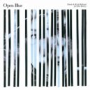 Old Man Diode & Rick Holland feat. Beth Rowley - Open Blue (Gardenfest Dutch Touch Remix)