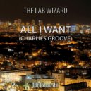 The Lab Wizard - All I Want (Charlies Groove)