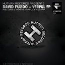 David Pulido - Acosma