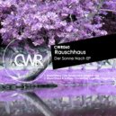 Rauschhaus & Vollhey - Sometimes Together