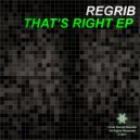 Regrib - Perfect (Original Mix)