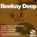 Beekay Deep - Luv