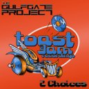 The Gulf Gate Project - 2 Choices (DJ 303 Remix)