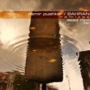 Damir Pushkar - Bahran (Tom [Special Interest] Remix)