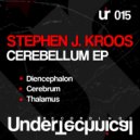 Stephen J. Kroos - Thalamus