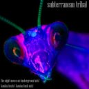 Subterranean Tribal - Kawina Beats (Kawina Bush Mix)