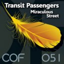Transit Passengers - Miraculous Street (Johan Curtain Remix)