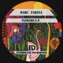 Marco Farina - Grusconi