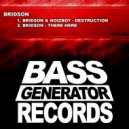 Bridson - There Here