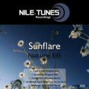 Sunflare - Landscape