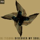 DJ Tisora - Discover My Soul (DJ Tisora Remix)