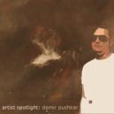 Damir Pushkar - Wasting My Time