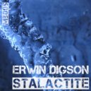 Q\'Bass Pres. Erwin Digson - Stalactite (Katsarov Remix)