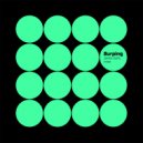 James Garlic - Burping (Aemkay Remix)