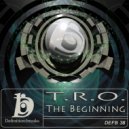 T.R.O. - The Beginning