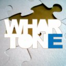 Dom Kane feat. Luc Prosser - Without You