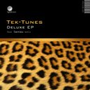 Tek-Tunes - Savant Boogie (Original Mix)