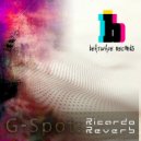 Ricardo Reverb - Bullet Shaped (Original Mix)