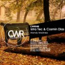 Istra Tec & Cosmin Dias - Mandy Madness