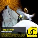 Tolga Diler - Mevlevism