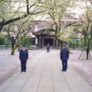 Stimming - Cheesecake