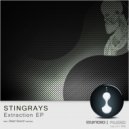 Stingrays - Abstraction (Original Mix)