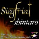 Shintaro - Siegfried (DJ Yoko Remix)