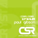 Paul Gibson - Tritium