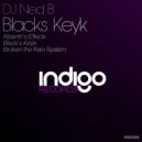 DJ Ned B - The Rain System (Original Mix)