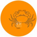 SpellRos - Track B (Original Mix)